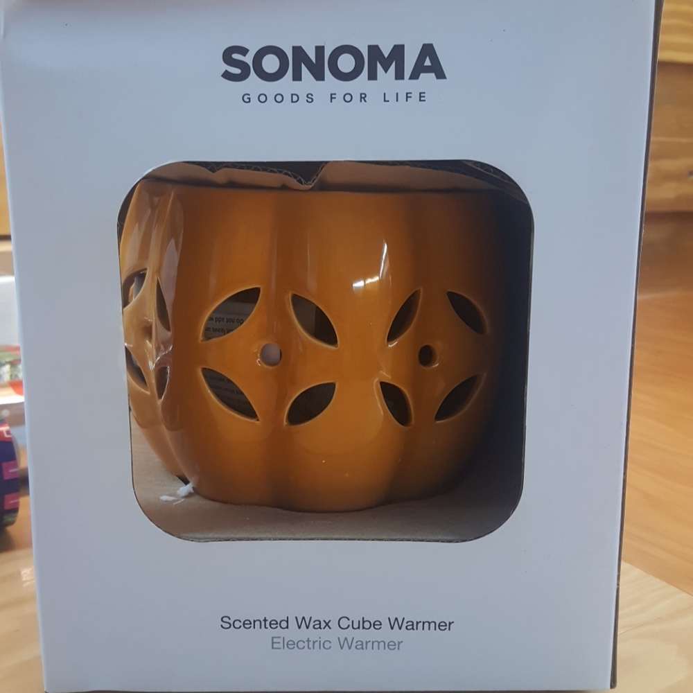 Sonoma Goods For Life Pumpkin Electric Wax Warmer